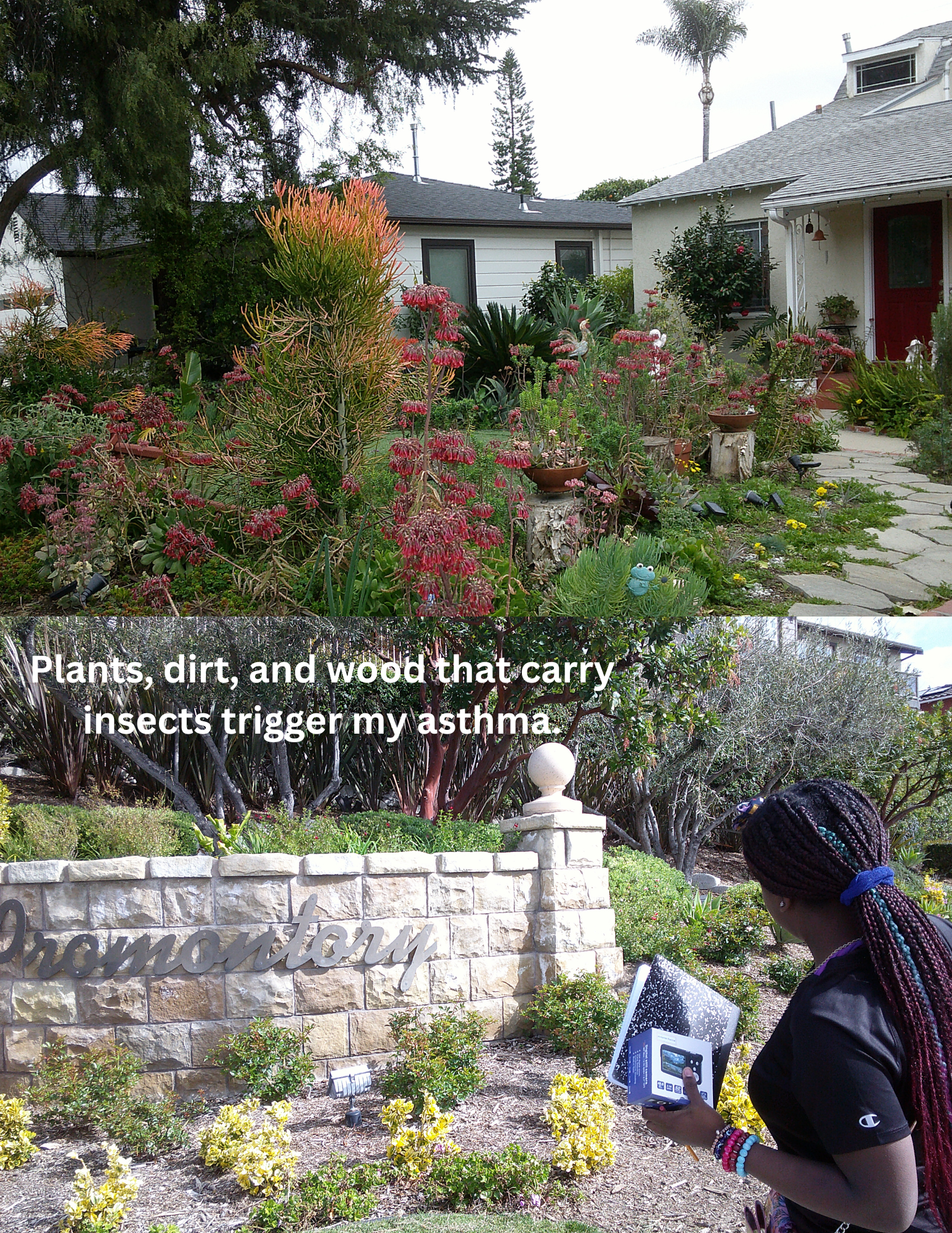 Pictured: A client wearing black is shown on the right side of the screen looking at shrubs, trees and a sign that says Promontory. They are holding a notebook. Text on the screen says, “Plants, dirt and wood that carry insects trigger my asthma.”